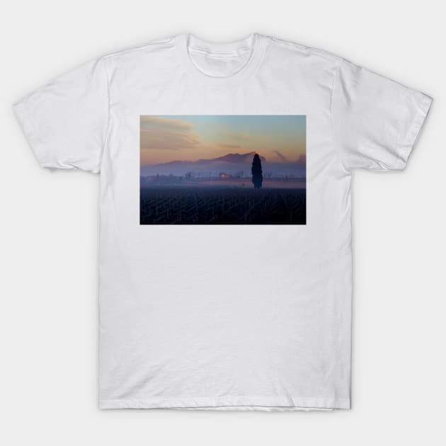 Winter sunrise T-Shirt by annalisa56